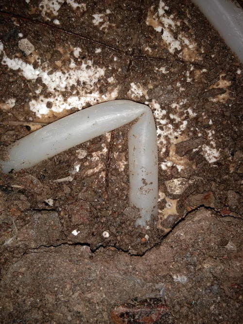 兴国堵点精准查找